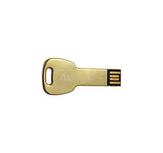 Metal key shaped usb drive LWU637