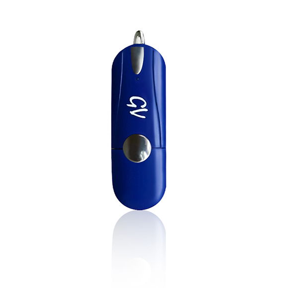 High quality cheapest classic plastic usb drive LWU213