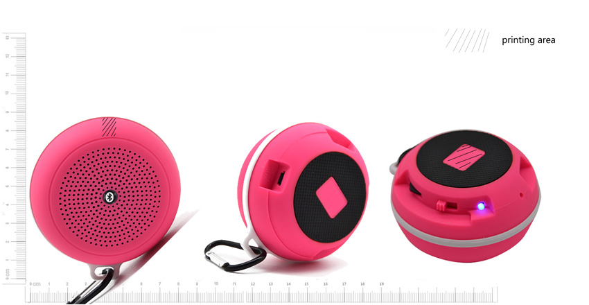 FM bluetooth speaker LWU-SP002