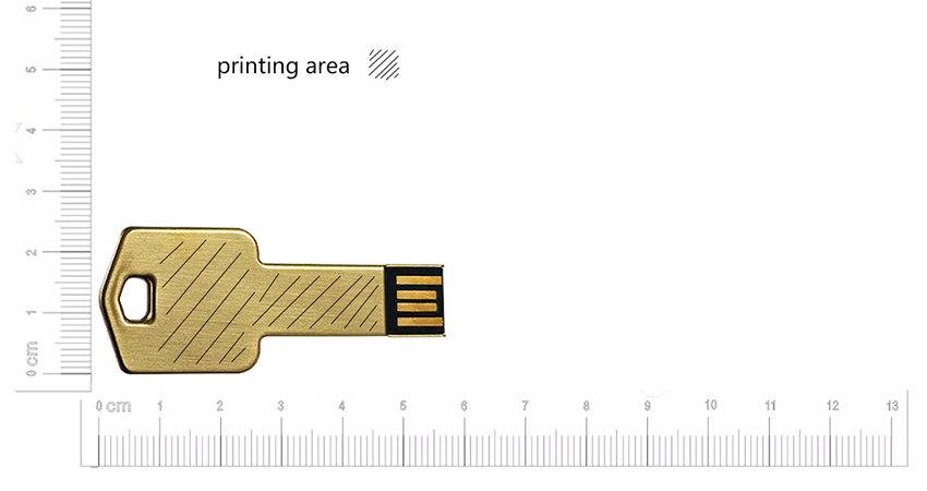 Custom logo golden Key flash drive LWU972